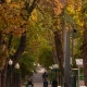 Ish haftasi mobaynida O‘zbekiston hududi bo‘yicha