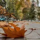 The weather at the end of the week became one of the most