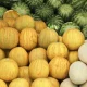So‘nggi kunlarda ijtimoiy tarmoqlarda qovun va tarvuz