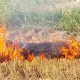 Xorazmda ayrim fuqarolar somon va o‘simlik qoldiqlarini