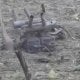 Polshada Rossiyaga tegishli deb taxmin qilingan dron qulab