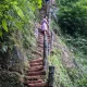 A man showed unparalleled devotion for his wife's