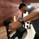 Amazfit şirketi, yeni akıllı saati Bip Max'i küresel