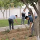 Mamlakatimizda 22−23 avgust kunlari “Obod va fayzli