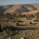 Batı Şeria’da durum bir kez daha gerildi. Filistin’in