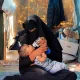 Gaza sektoridagi shifokorlar yuzlab chaqaloqlar hayoti
