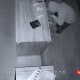 Toshkent viloyatidagi Bo‘stonliq tumanida jinoiy