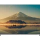 The Russian retail chain M.Video has launched a new line