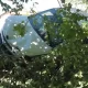 17 сентябрь куни Хоразм вилоятининг Янгиариқ туманида