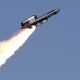 Ukraine’s “Flamingo” missile, which is planned to enter