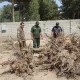 Yurtimizda ekologik barqarorlikni ta’minlash, yashil
