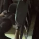 Toshkent shahrida hayvonlarga nisbatan tajovuzkorlik bilan