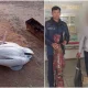 A case involving the poaching of rare birds has been