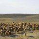 Согласно постановлению Президента, в 2025–2026 годах в