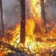 Forest fires that have been raging in Spain since early