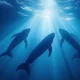 Canada's famous Marineland Oceanarium has threatened