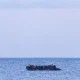 Another tragic incident has occurred involving migrants