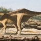 In the area of the Isle of Wight in Great Britain, a