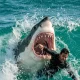 Another tragic incident has occurred in Western Australia.