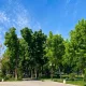 Uzhydromet has announced the weather forecast for May 29.