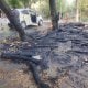 11 iyul kuni Toshkent shahar Chilonzor tumanida fojiaga