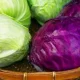 Qizil karam yoki yashil karam – qay biri foydali? Karam –