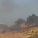 Bugun, 6 iyul kuni Toshkent viloyatining Bo‘stonliq