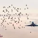 Самолет авиакомпании "Уральские авиалинии,"