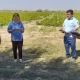 Мажбурий ижро бюросининг Сирдарё вилоят бошқармаси