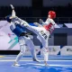 Die World Taekwondo Federation hat die aktualisierte