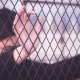 In China, an astonishing and sensational case occurred: a