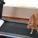 В социальной сети TikTok быстро распространилось видео
