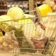 В Узбекистане продукты питания, срок годности которых