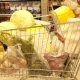 Ўзбекистонда истеъмол муддати тугаб қолишига яқинлашган
