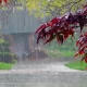 Uzhydromet has announced the weather conditions expected