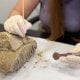Россиянинг Нижний Новгород шаҳри марказида археологлар