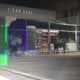 Taşkent şehrinde, mezbahadan kaçıp insanlara saldıran bir