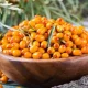 С приближением зимы многие обращаются к натуральным