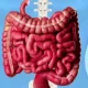 Recently, many people have started paying attention to gut