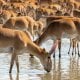 Another important step has been taken in Central Asia to