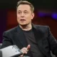 "Если рождаемость не увеличится и численность