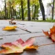 "Узгидромет" деректеріне сәйкес, 11 қазан күні