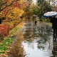 “Ўзгидромет” маркази 10 октябрь, жума куни Ўзбекистон