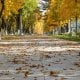 Ўзбекистонда 2025 йил 6–9 октябрь кунлари ҳаво ҳарорати