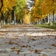 On October 6-9, 2025, the air temperature in Uzbekistan is
