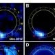 Eine sensationelle Studie, die 2014 im Journal Science