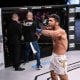 Только что в Дубае, ОАЭ, прошел турнир "PFL Champions