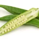 Okra is a vegetable known since ancient times for its