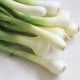 Green onions are one of the vegetables that have long been