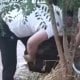 Тошкентда содир бўлган ҳайратомуз ўғирлик жамоатчиликни